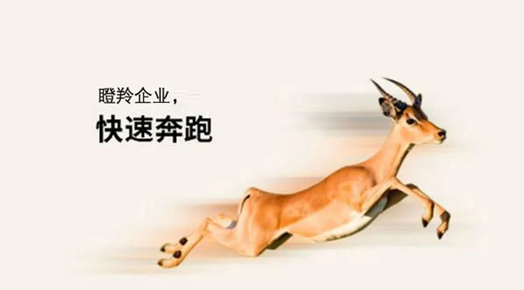 香港宝典免费资料大全